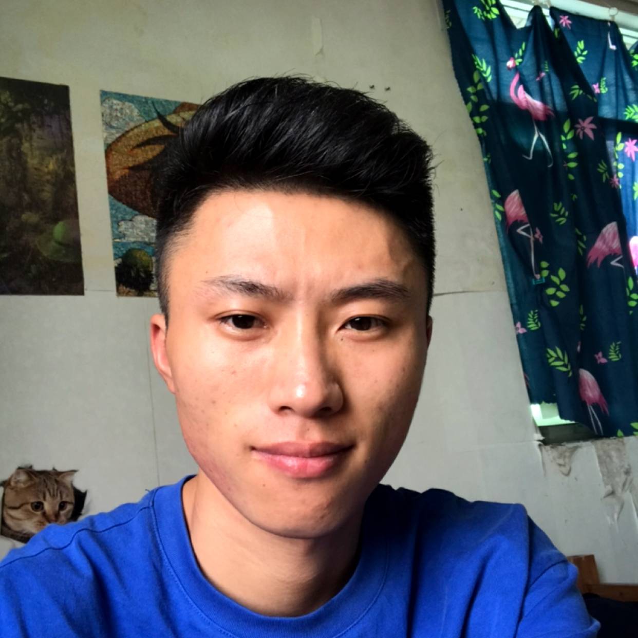 女王如意的照片