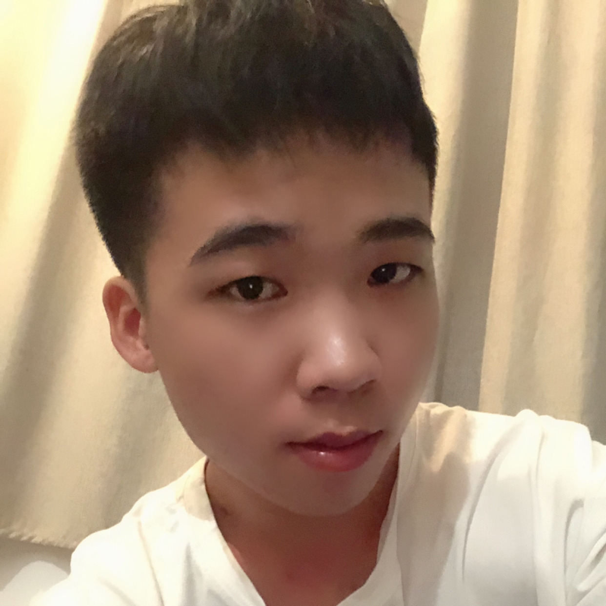忘忧演变俭朴的照片
