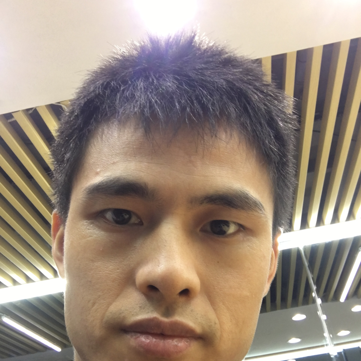 放浪江湖的照片