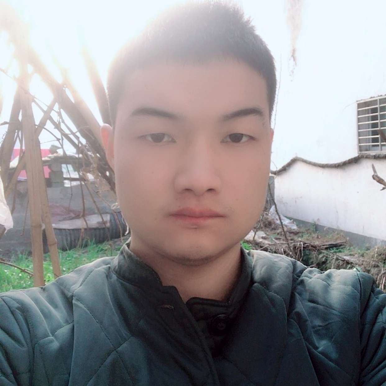 金鱼改变朴实的照片
