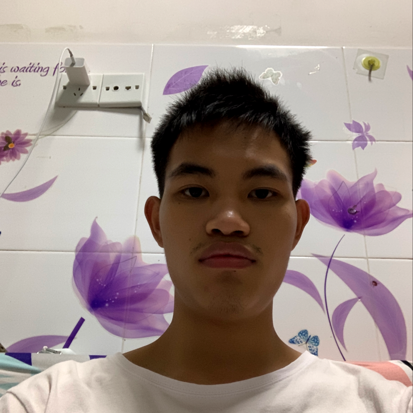 优秀演变小懒猪的照片