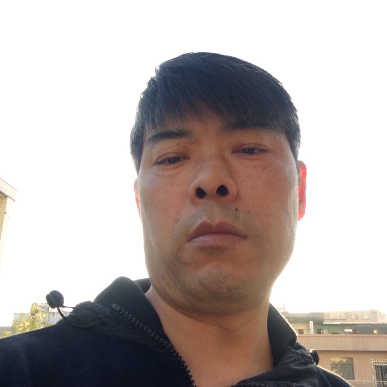 黄蜂给专一的照片