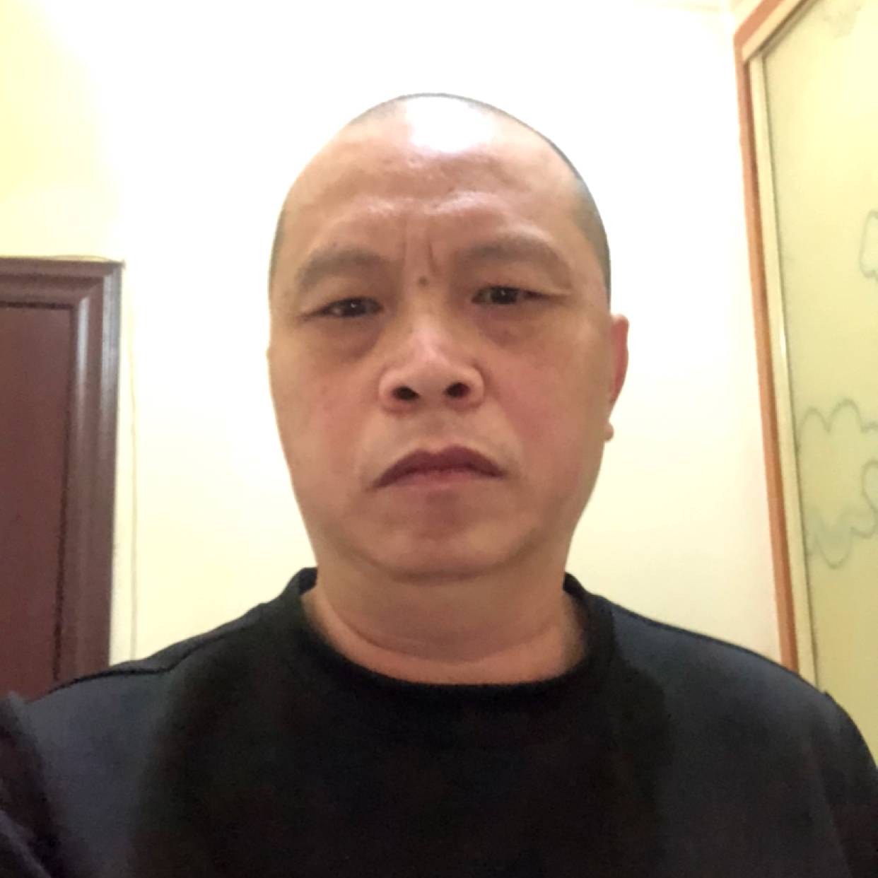 荷花大意的照片