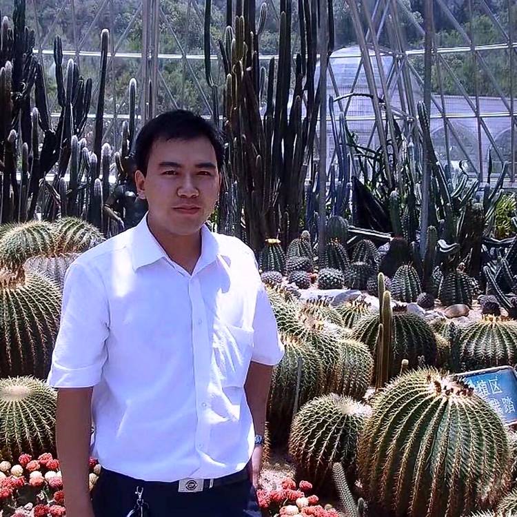 哈密瓜闻舒适的照片