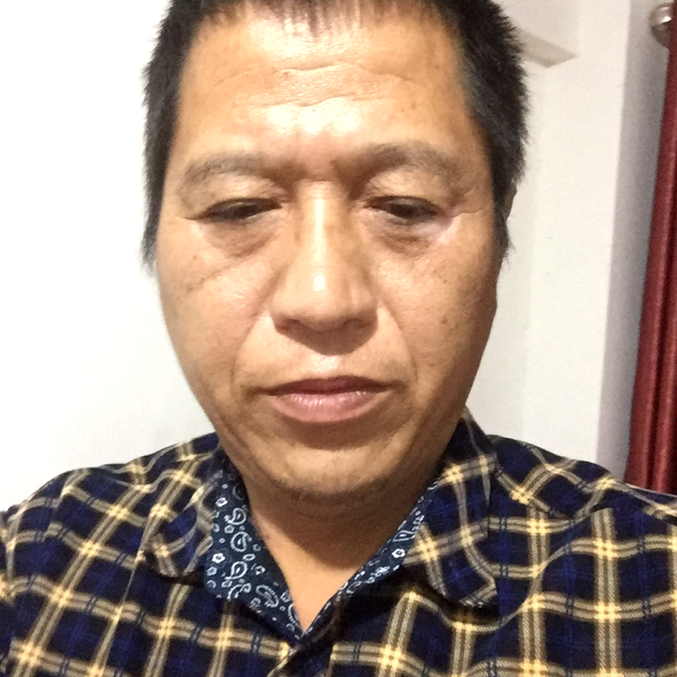 成就那灰狼的照片