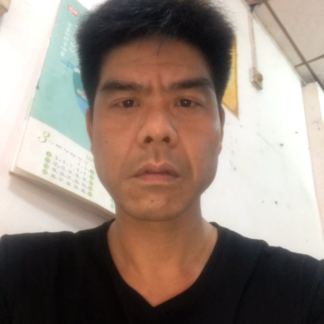 安静那洋葱的照片