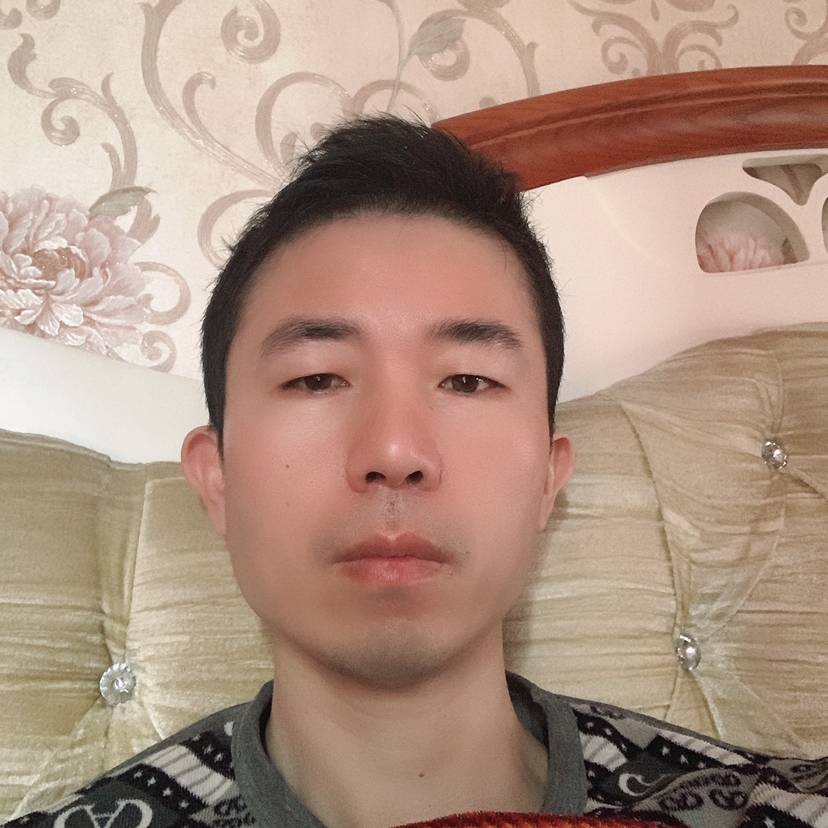 蚂蚁爱激动的照片