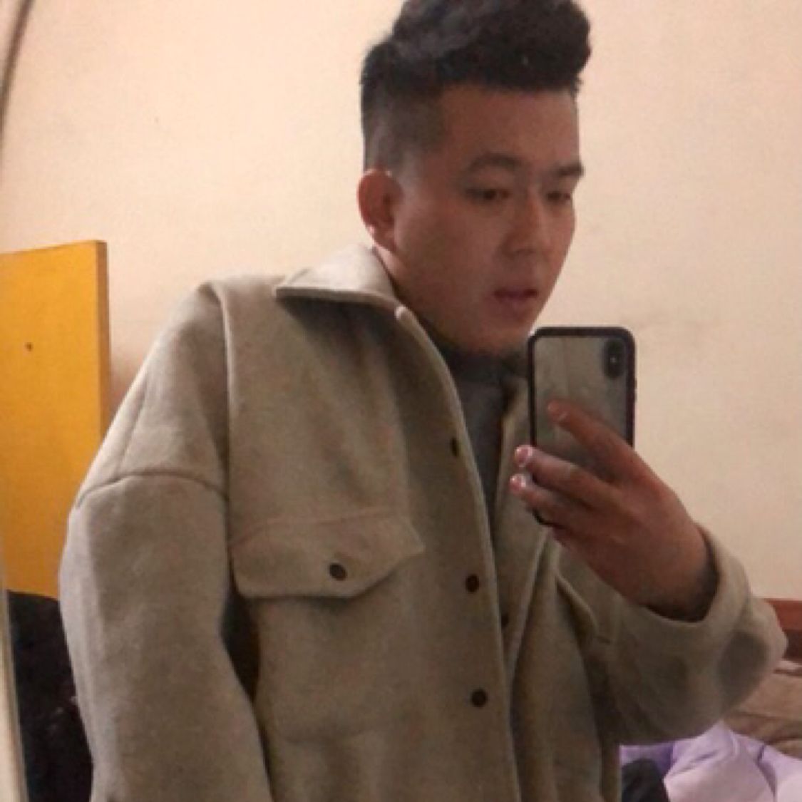 梧桐。的照片
