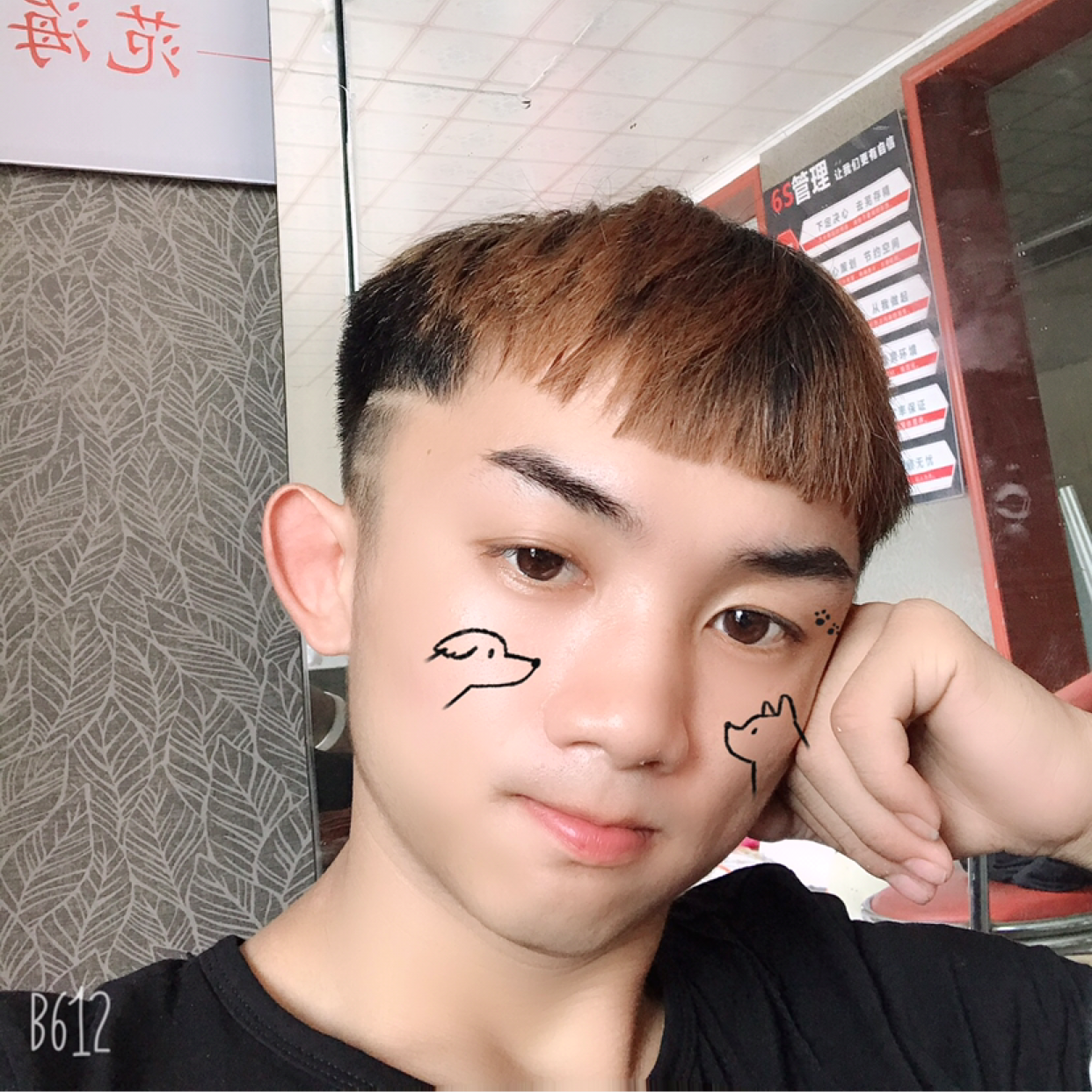 房东家的小奶猫的照片