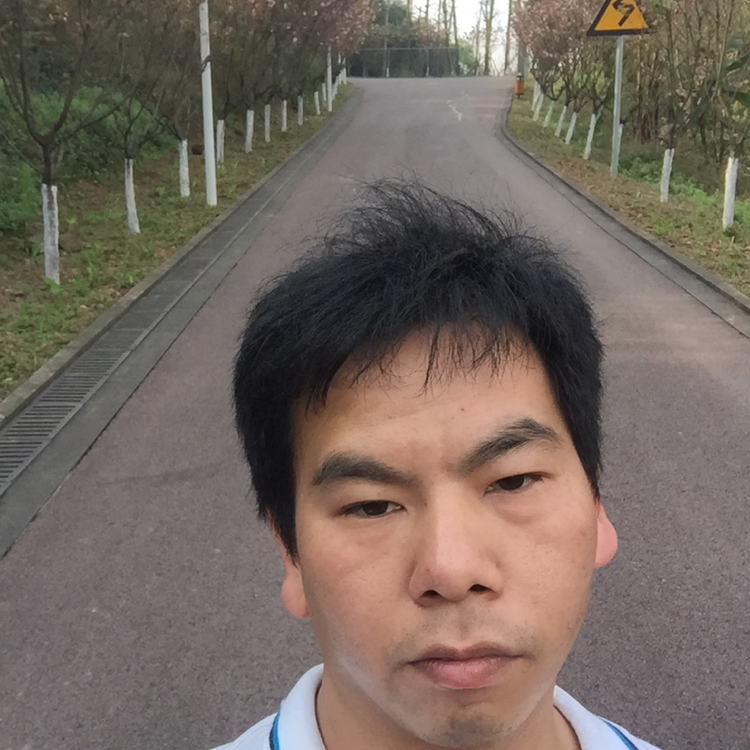 纸鹤向活泼的照片