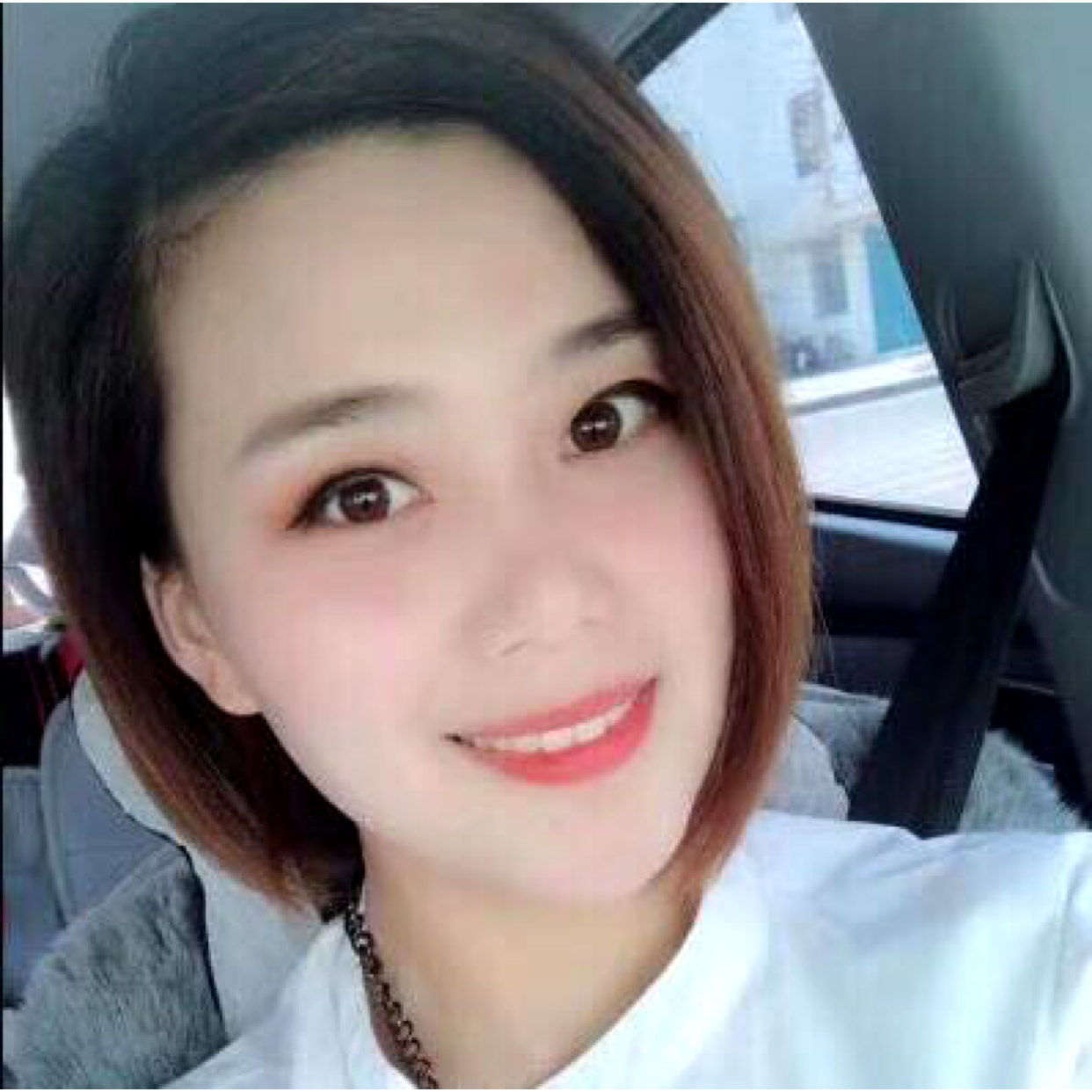 风中的千纸鹤的照片