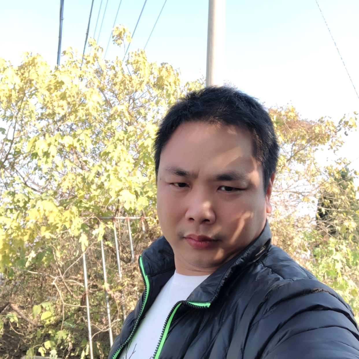 卡帝的照片