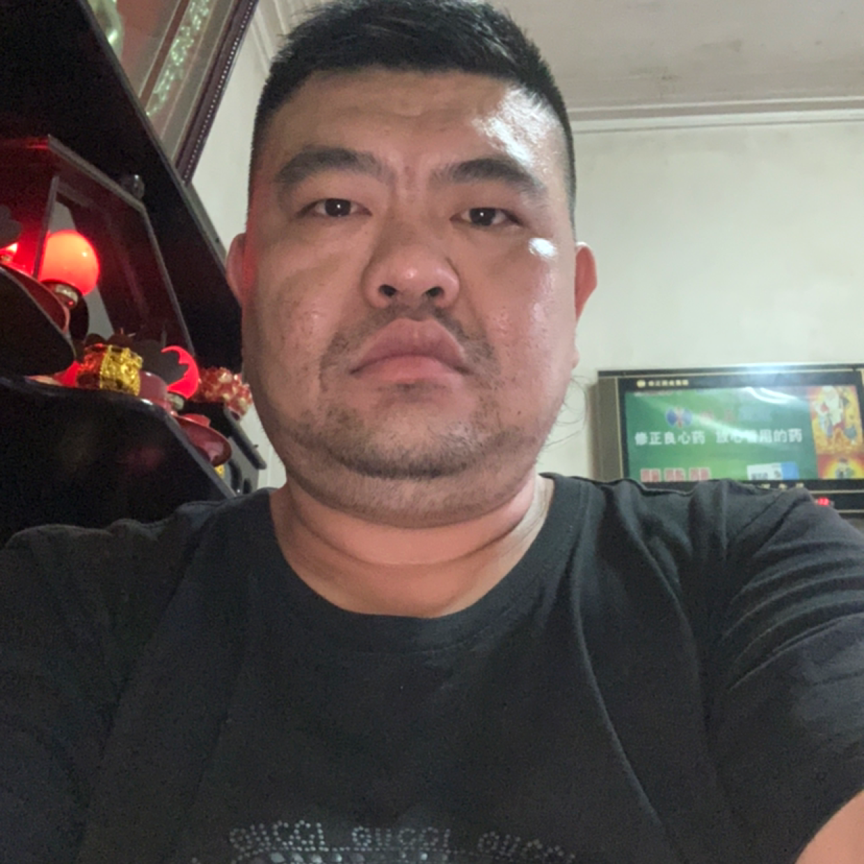大象苦恋旧时光的照片
