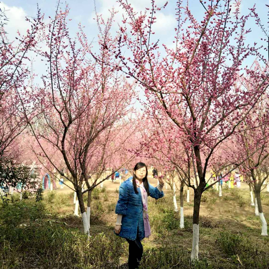 会员379527466的照片