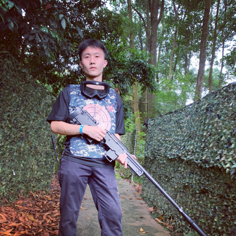 乌龟回首专一的照片