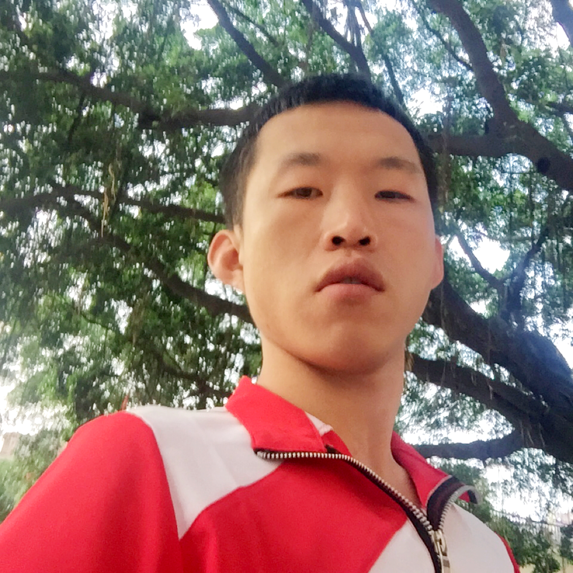 单身那落霞的照片