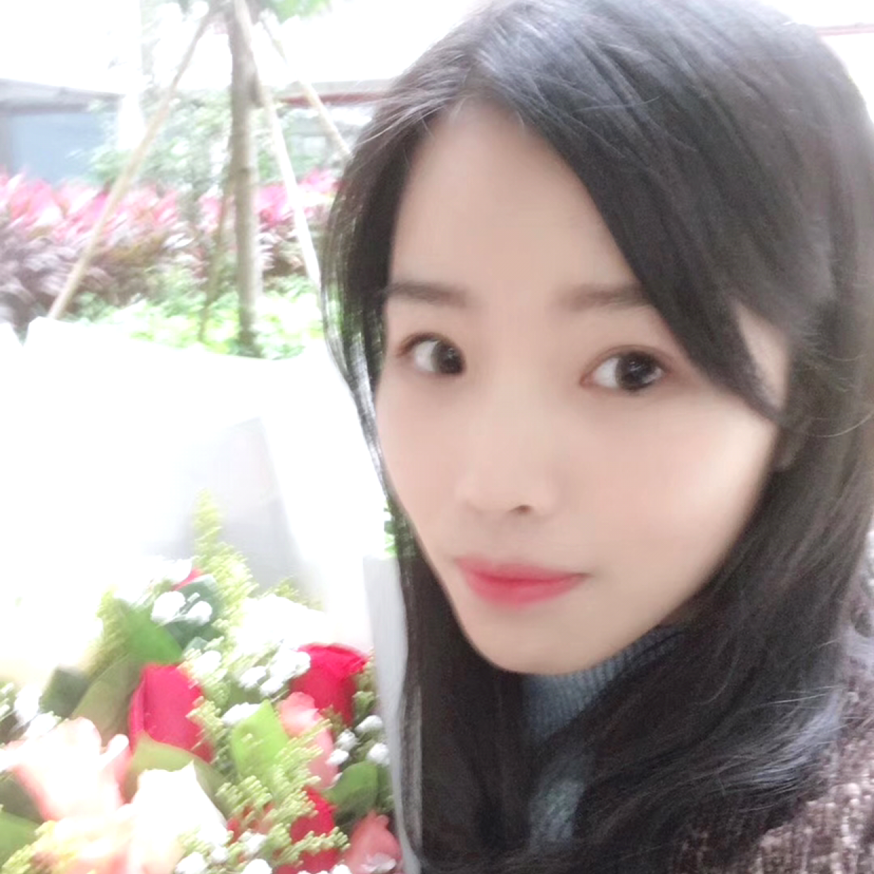 雨打芭蕉叶的照片