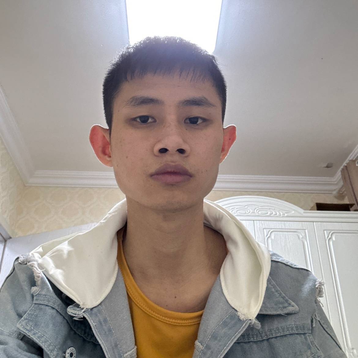 手机和笨笨的照片
