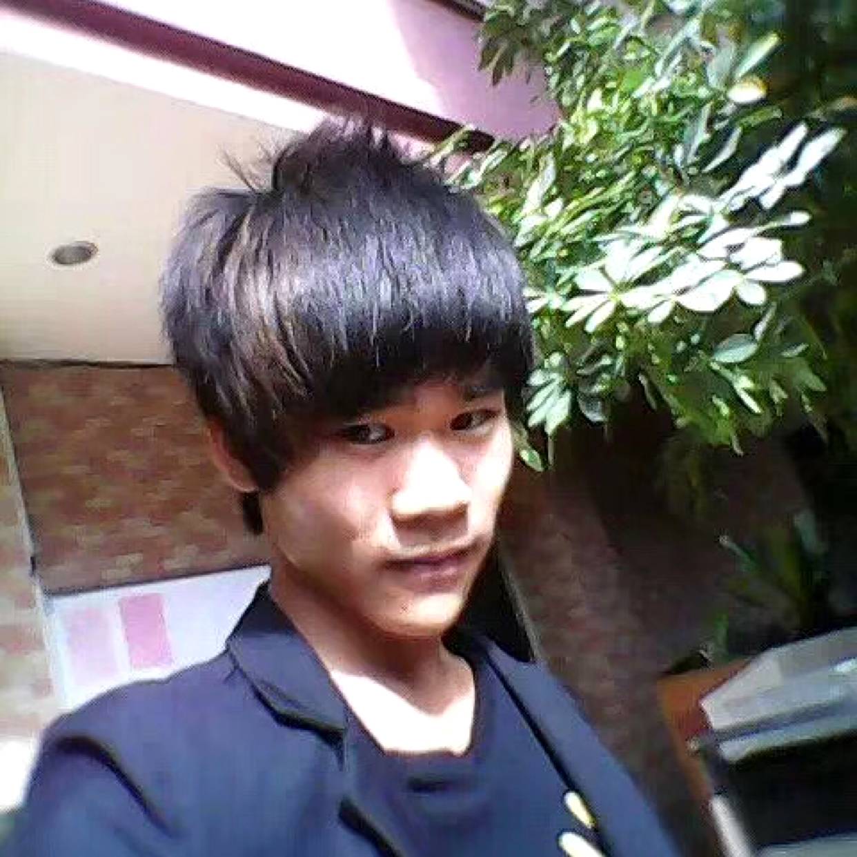 舒荷向老迟到的照片