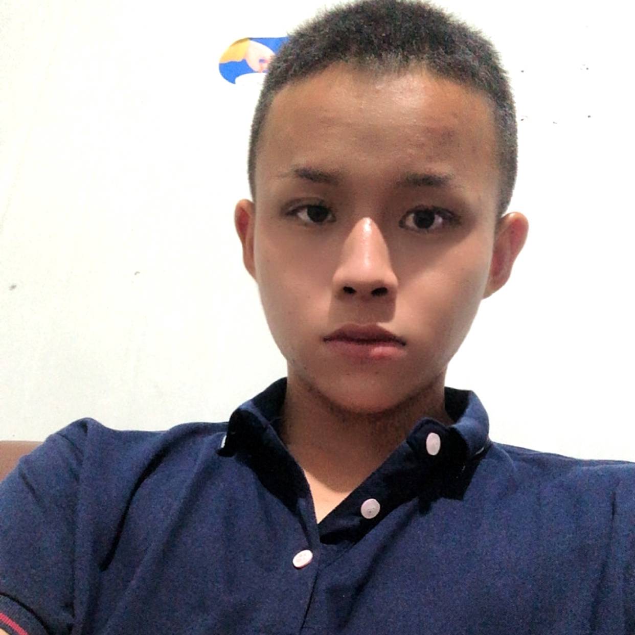 帅气向树叶的照片