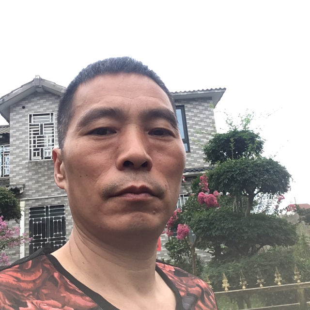 真心真意一生无悔的照片