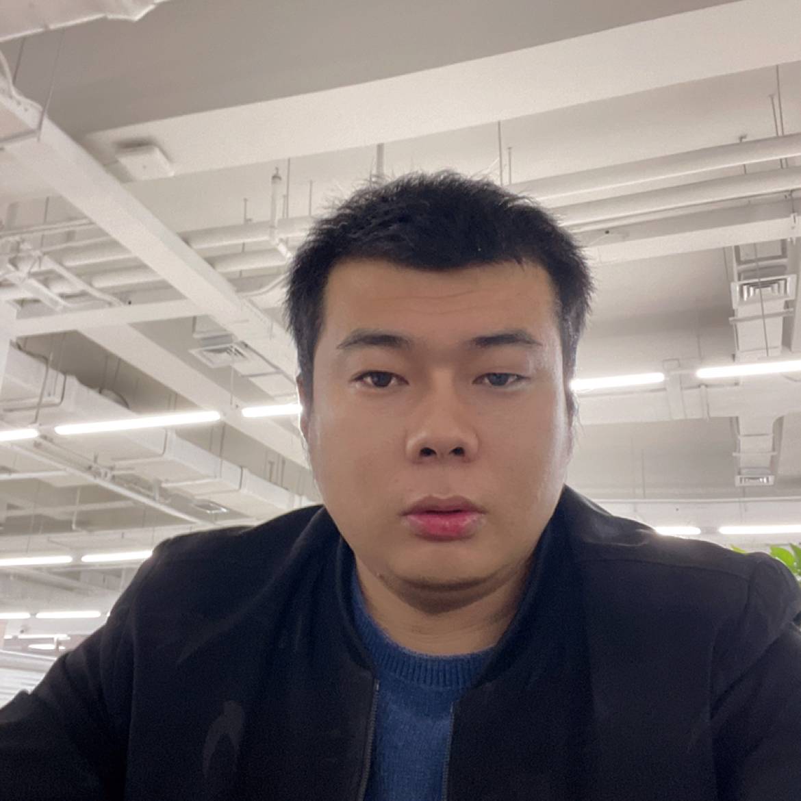 大雁蹁跹优雅的照片