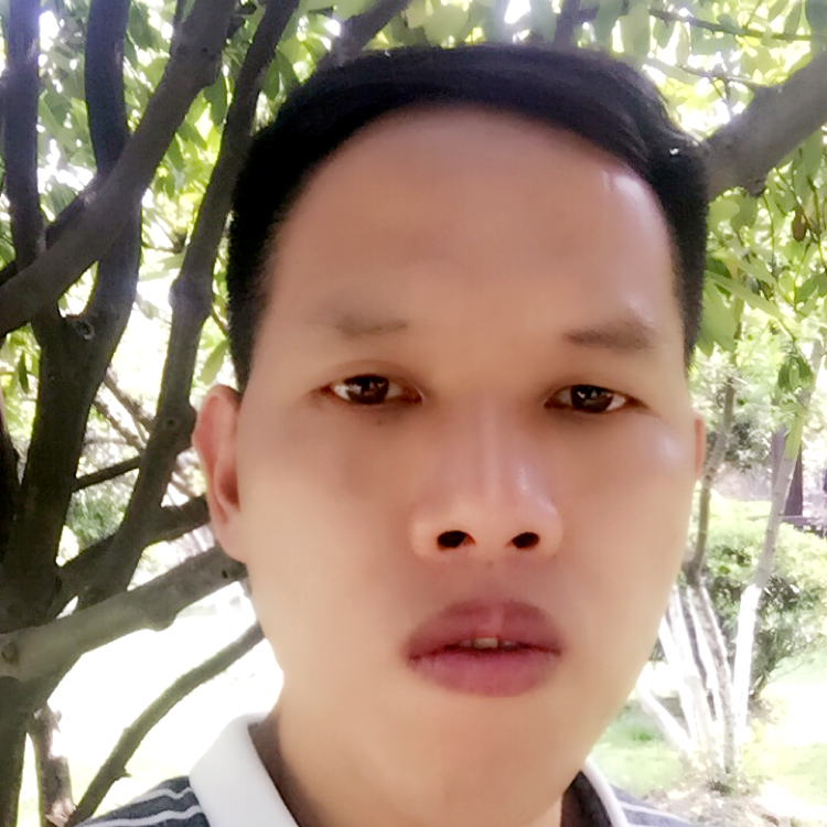 激昂的回忆的照片
