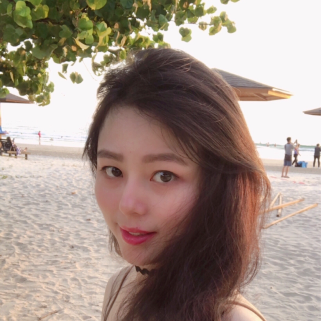 高大方洋葱的照片