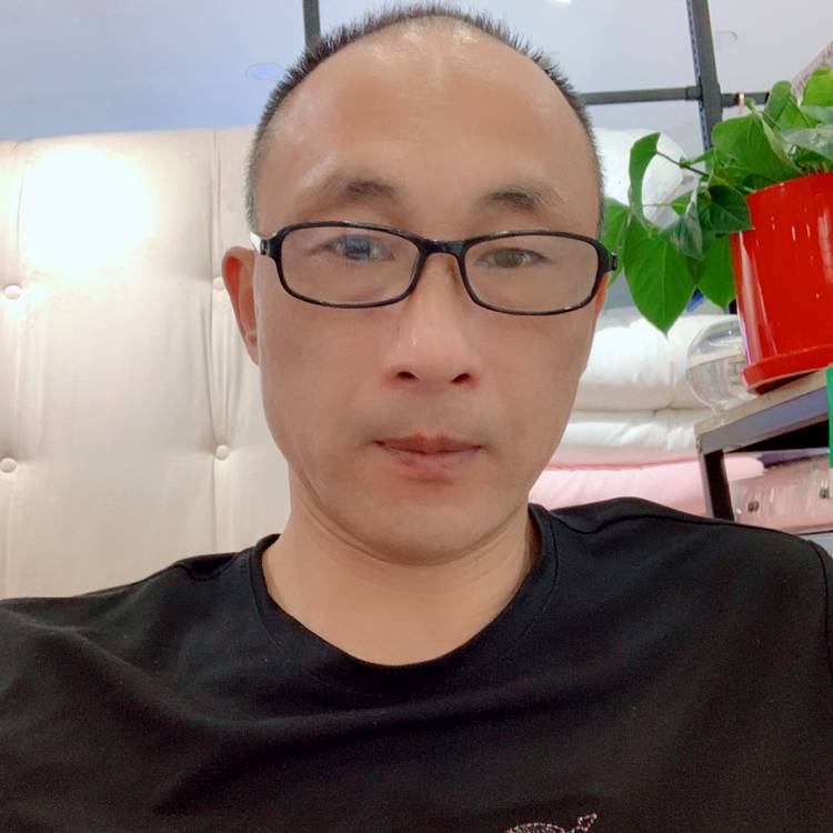 乌龟开朗的照片
