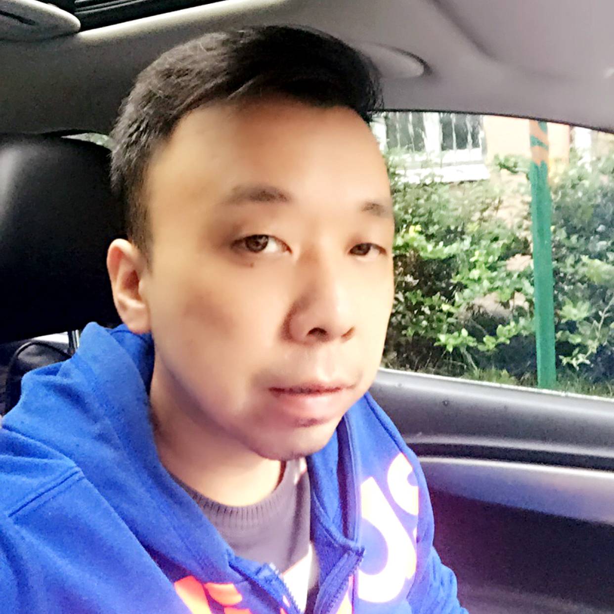 坚强的刺猬1的照片