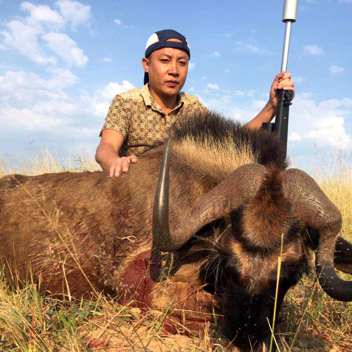 无聊那旧颜的照片