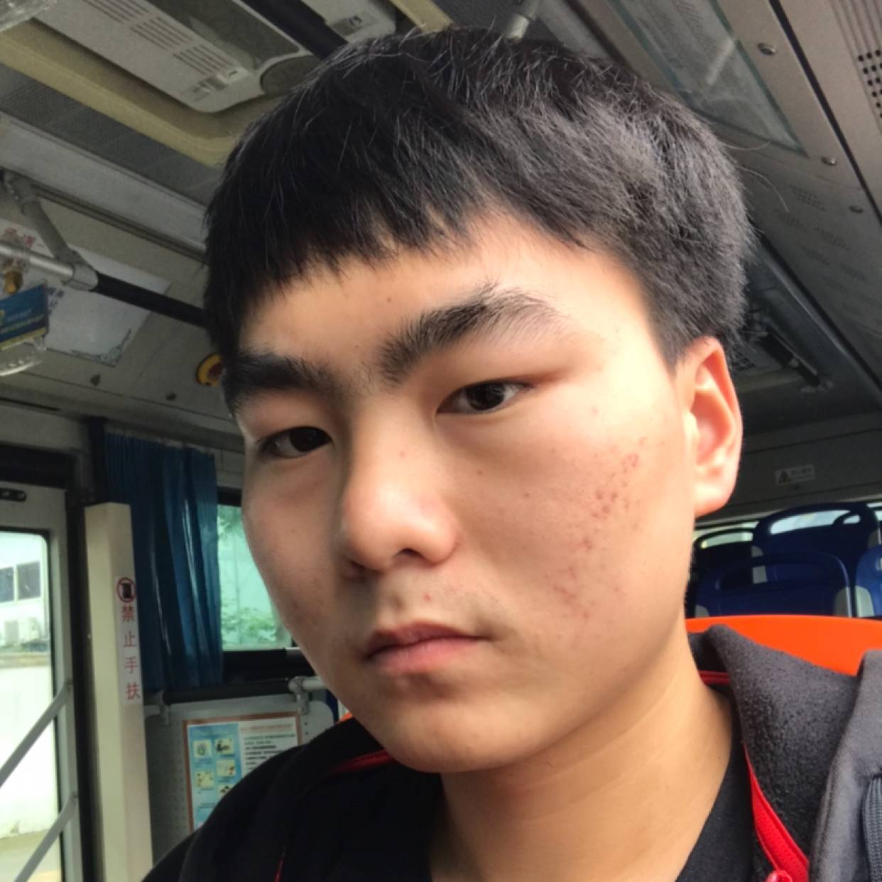 星辰大海L的照片
