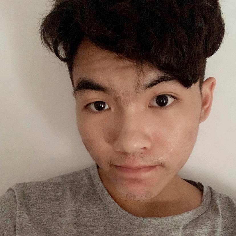 我要养猫！的照片