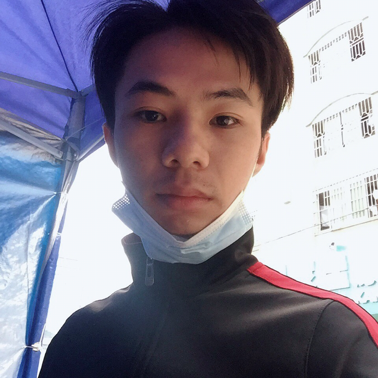 枫叶的照片