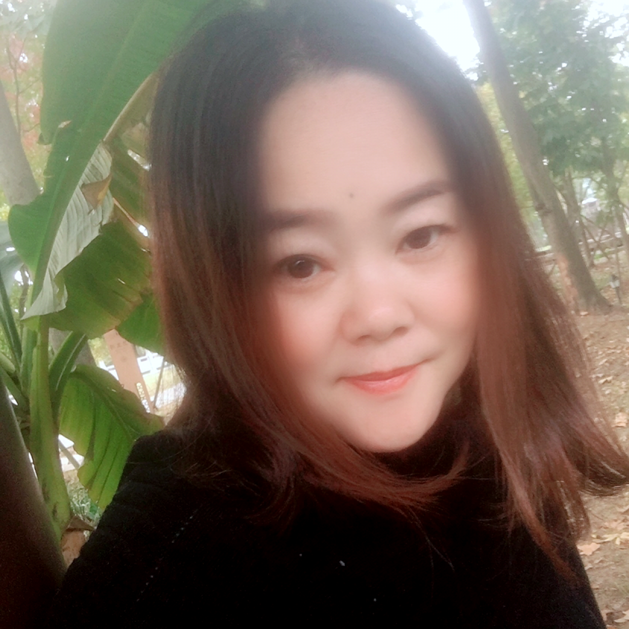叶飘零y的照片