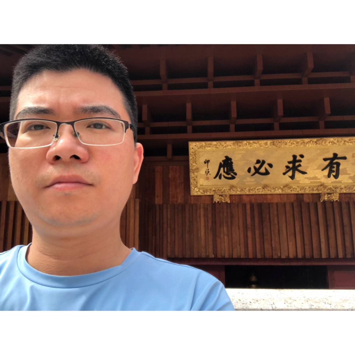 母鸡无垠的照片