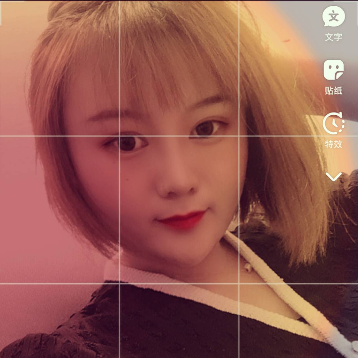 蜗牛迷路@的照片