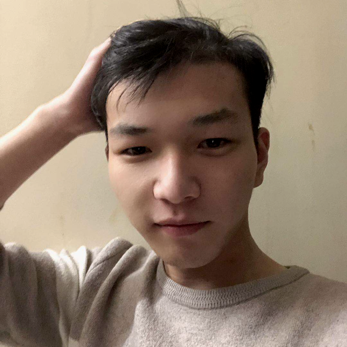 小猫狗的照片