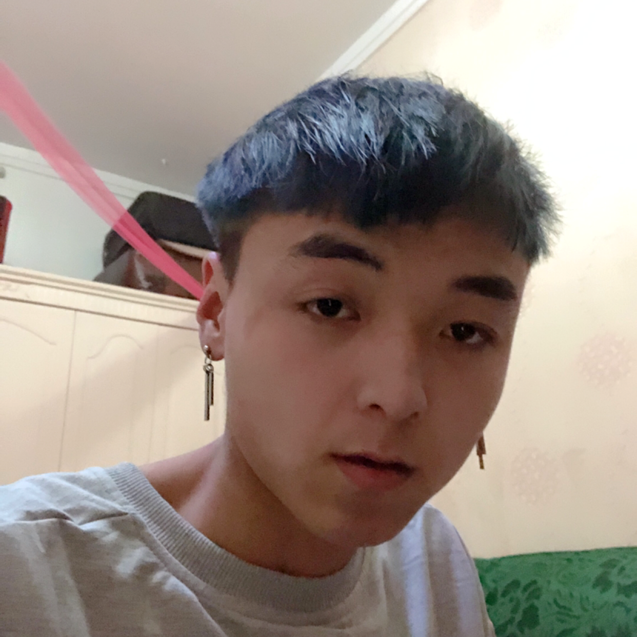 最后的回眸大雁的照片