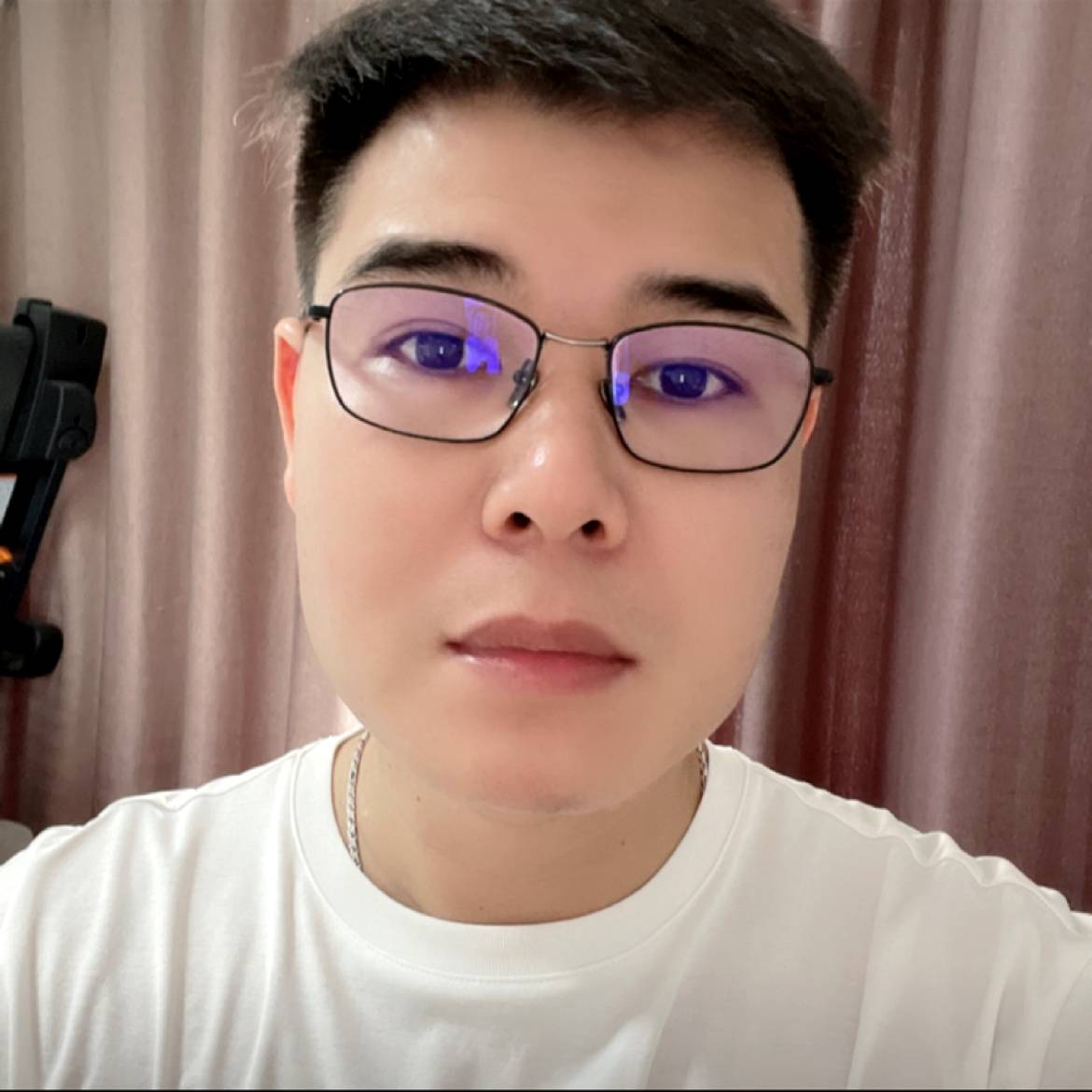 绽放的玫瑰的照片