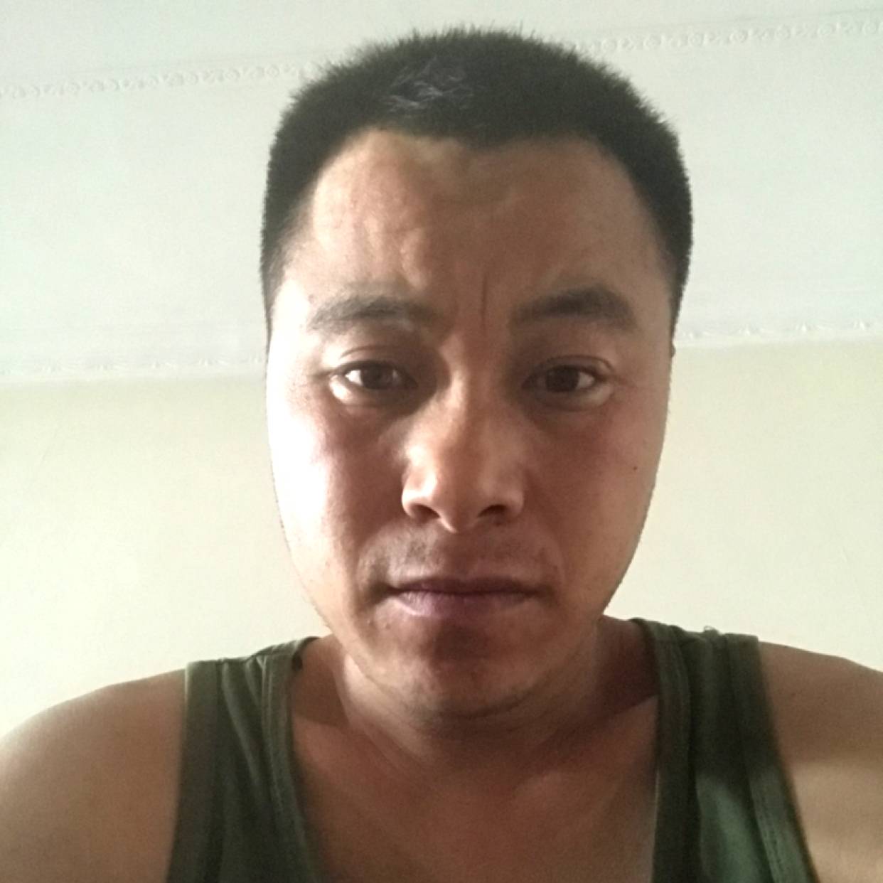 射生动猎豹了的照片