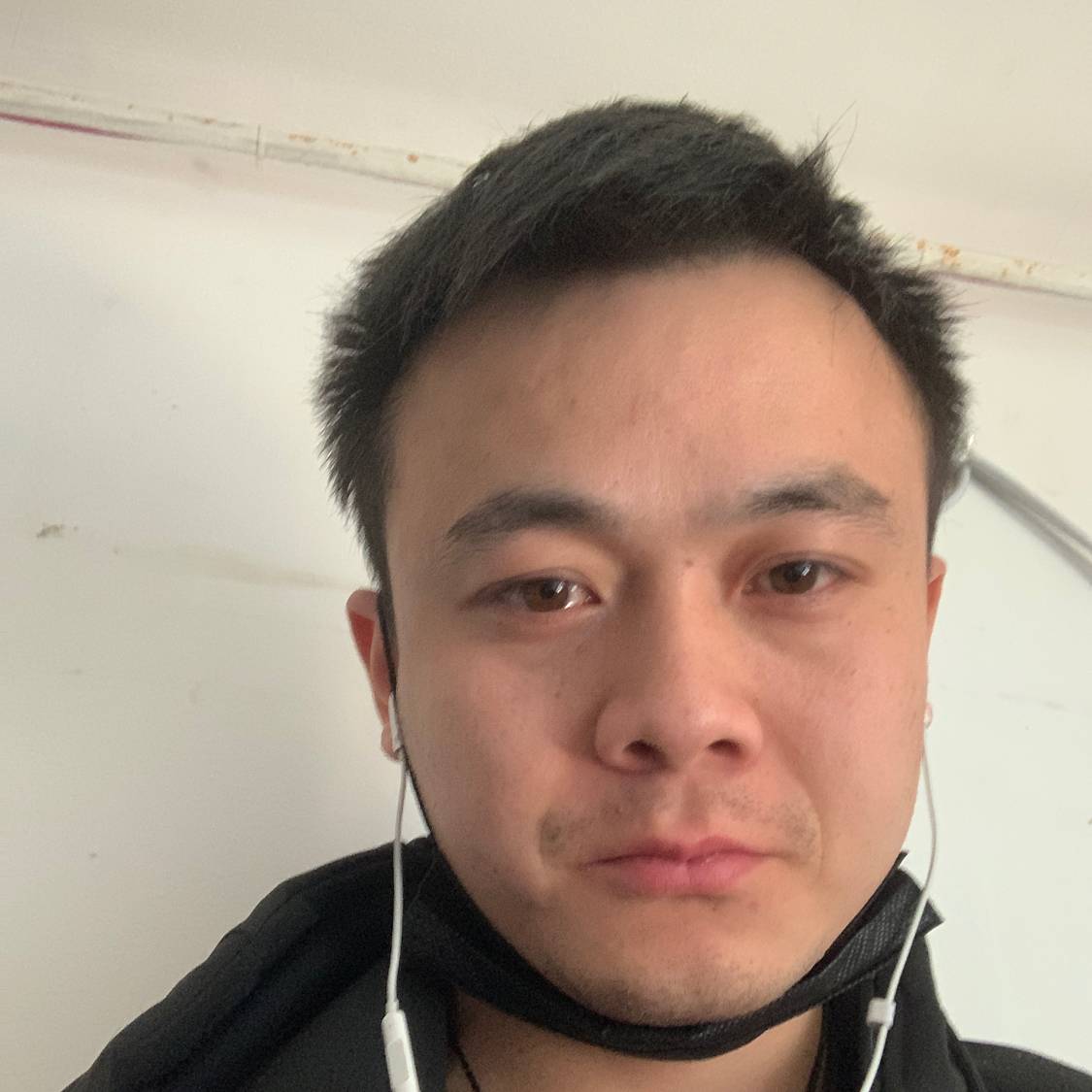 成就说灰狼的照片
