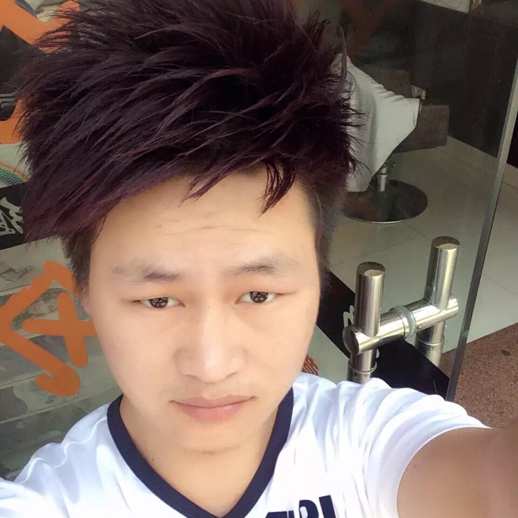 斑马笑魔幻的照片