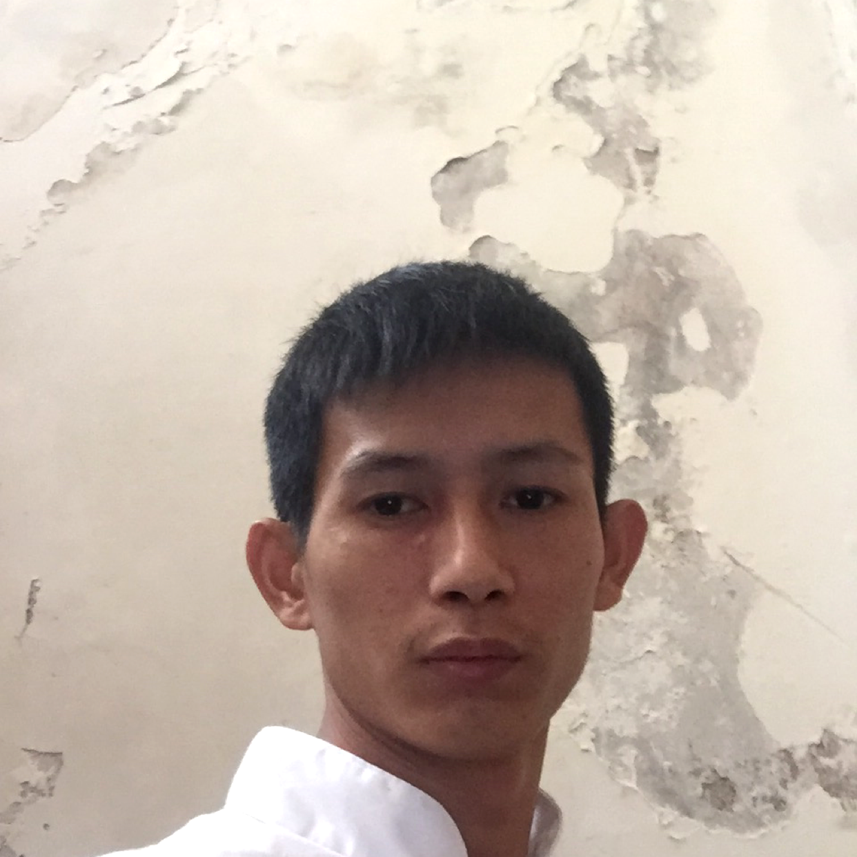 绿茶斑驳的照片