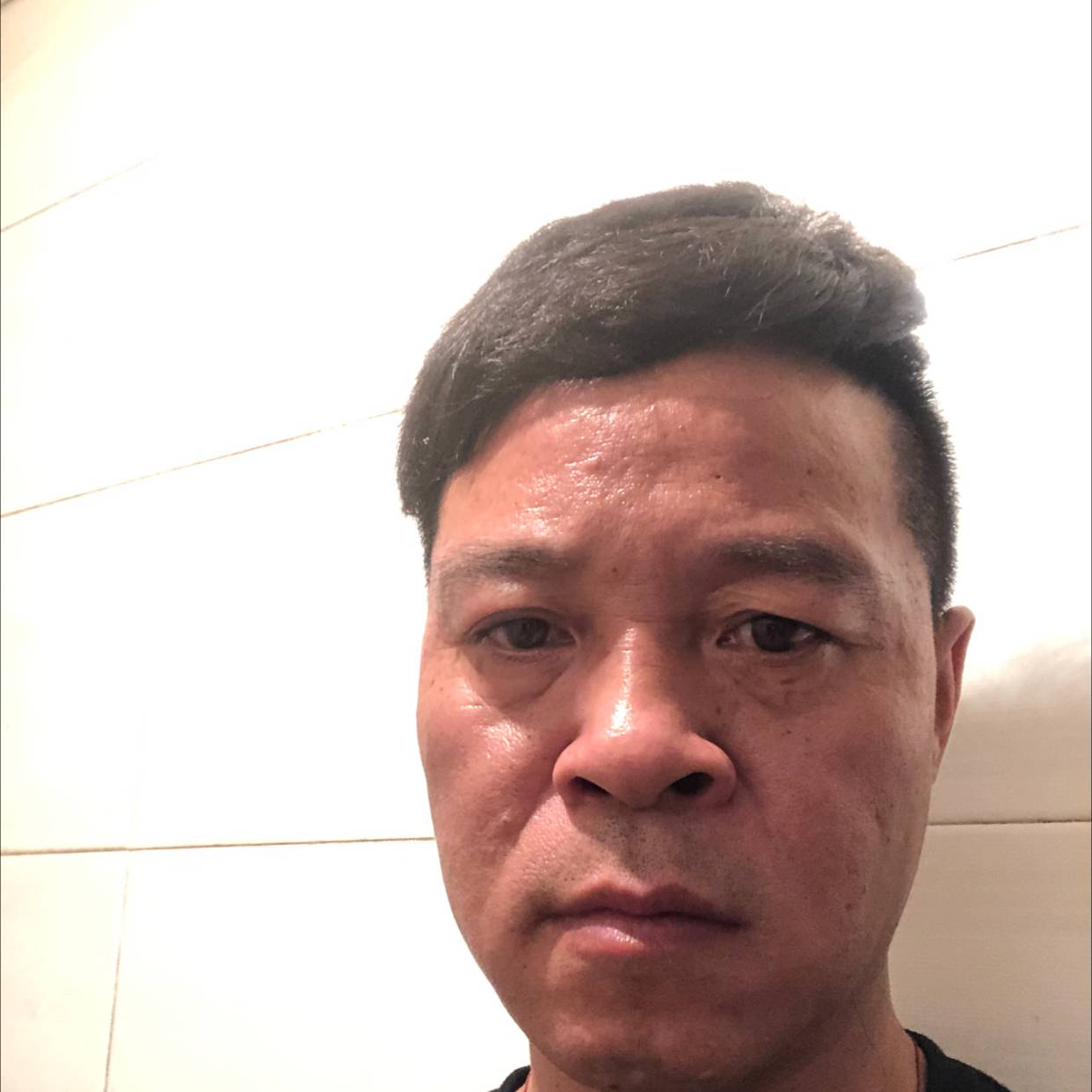 健壮向小熊猫的照片