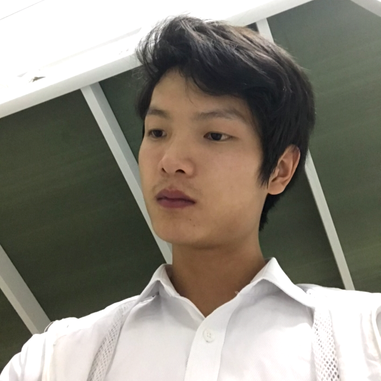 月下微凉的照片