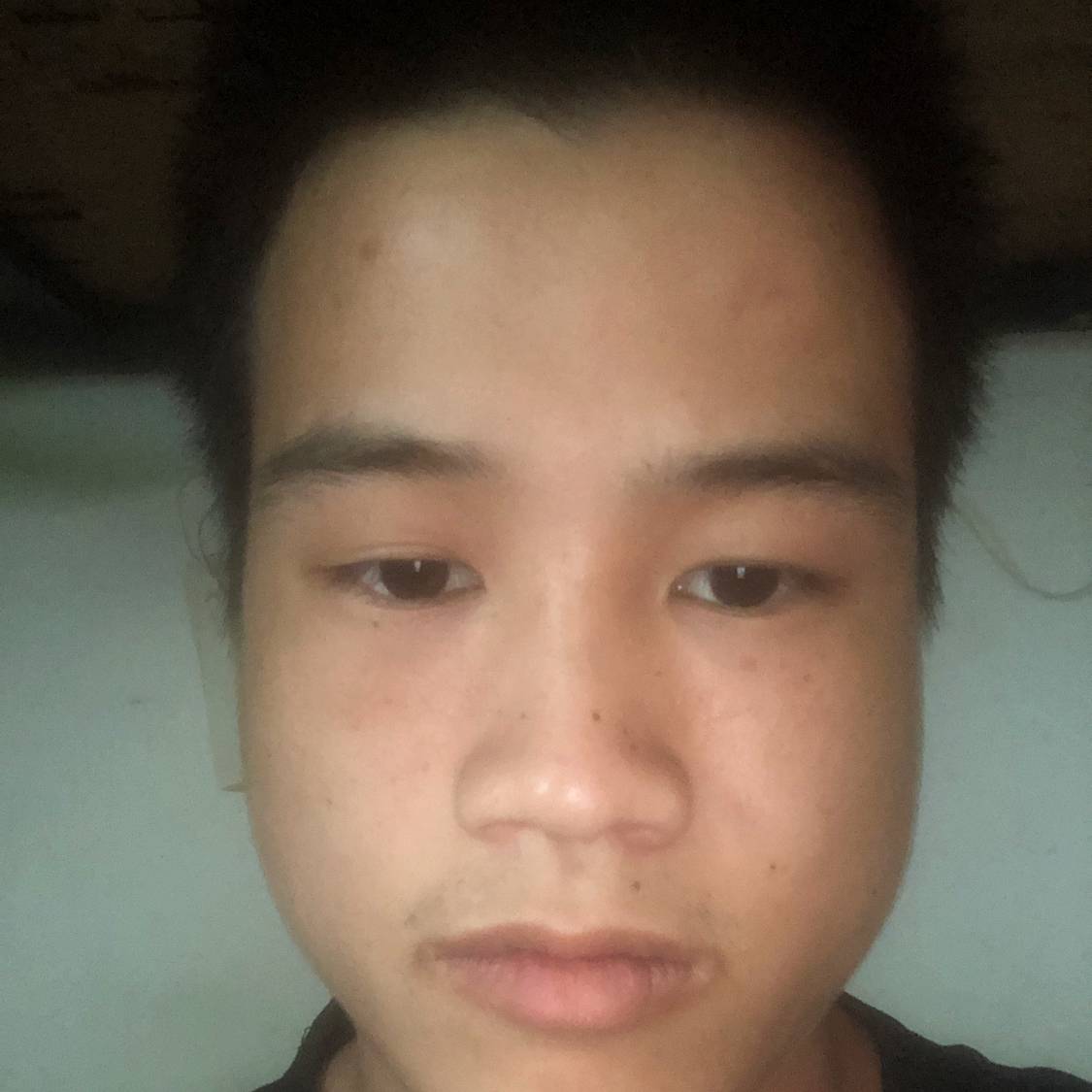 大炮和笑点低的照片