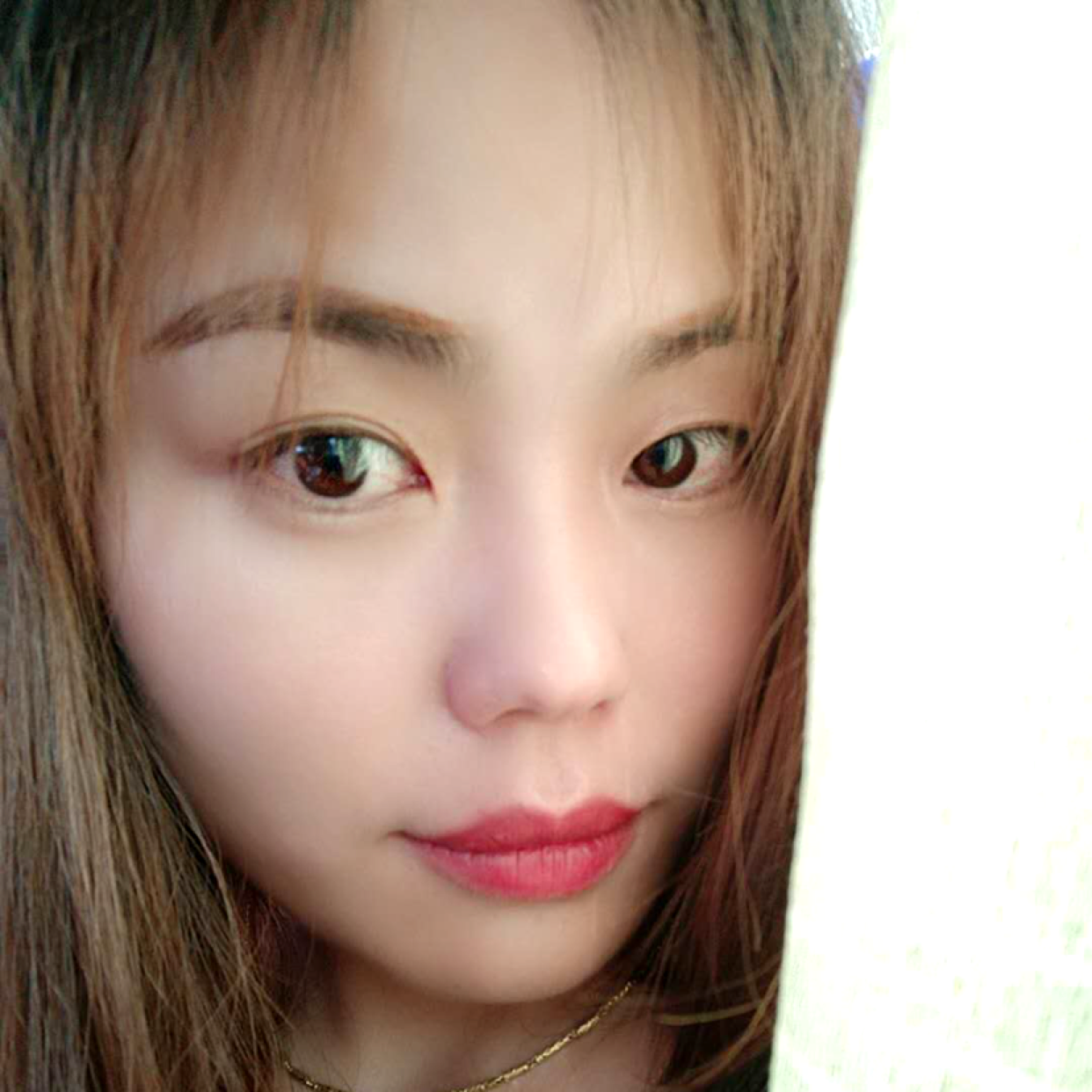 枫叶浅吻阳光的照片