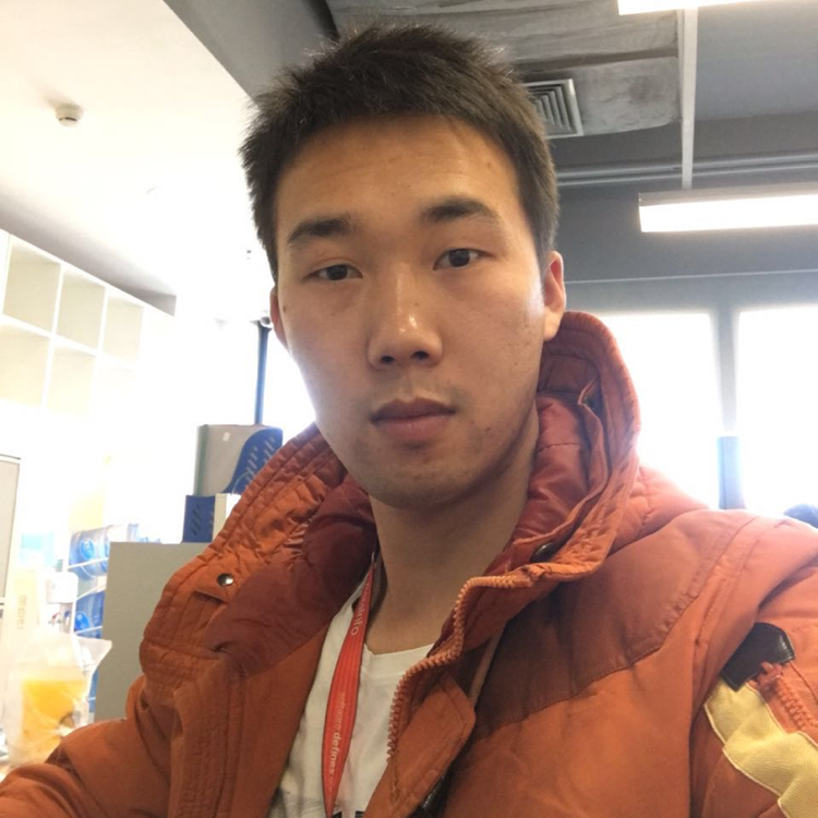 雄心万丈的照片