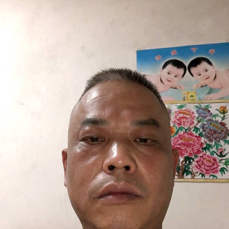 朱加光的照片